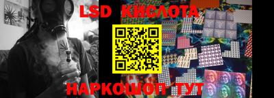 мдпв Кингисепп