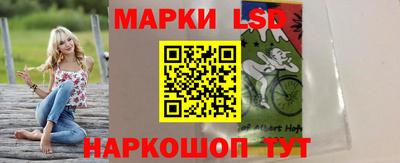 мдпв Кингисепп