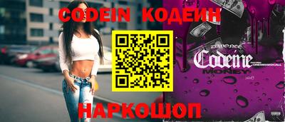 мдпв Кингисепп