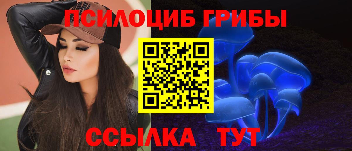 Коркино  Псилоцибиновые грибы GOLDEN TEACHER  Галлюциногенные грибы Psilocybine cubensis  Вход с VPN 
